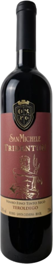 San Michele Tridentum 2021