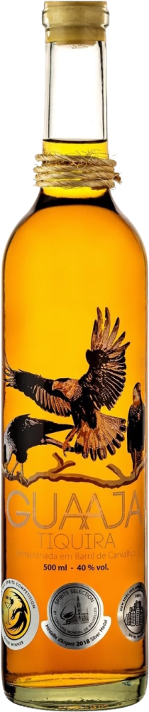 Guaaja Tiquira Carvalho 2 years